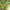 PlantSupport™ - Cadre de support pour plante | Jardinage - CoolOjardin